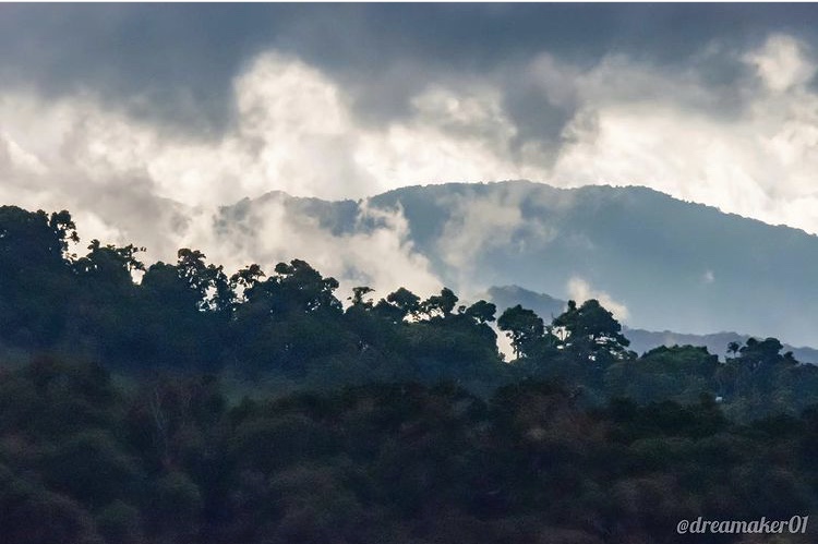 Parque Nacional Los Quetzales en Costa Rica Parte 1