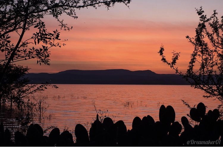 Blog Amigos de la Presa 2