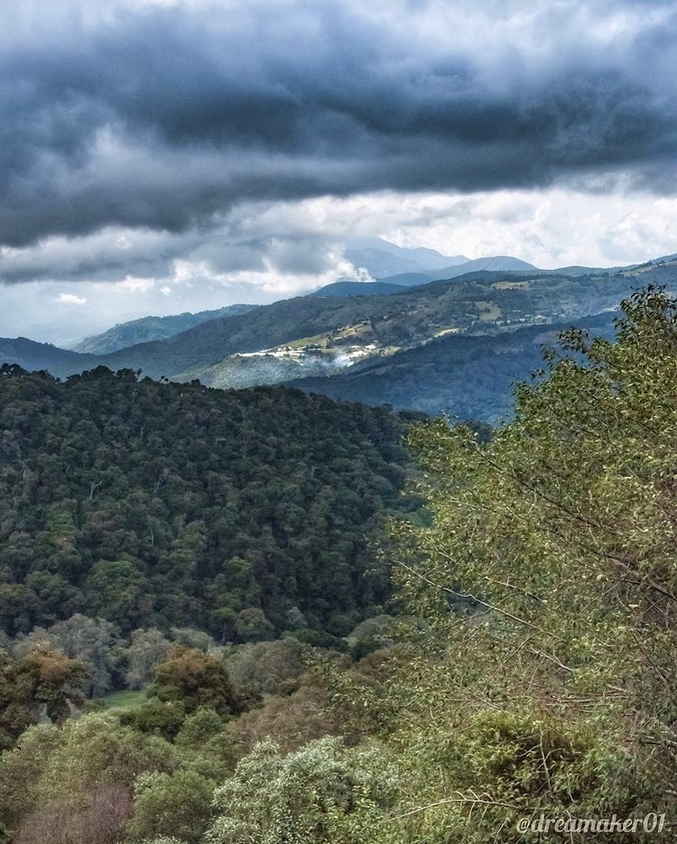 Blog Parque Nacional Los Quetzales en Costa Rica Parte 2 3