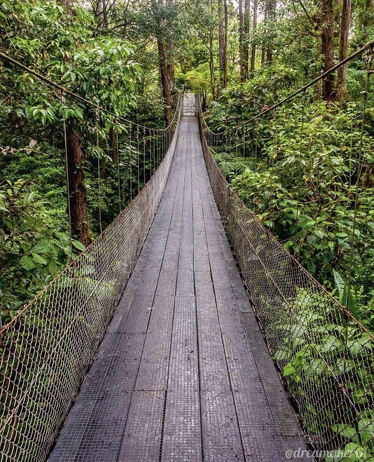 Blog La Selva Tropical en Arenal 3