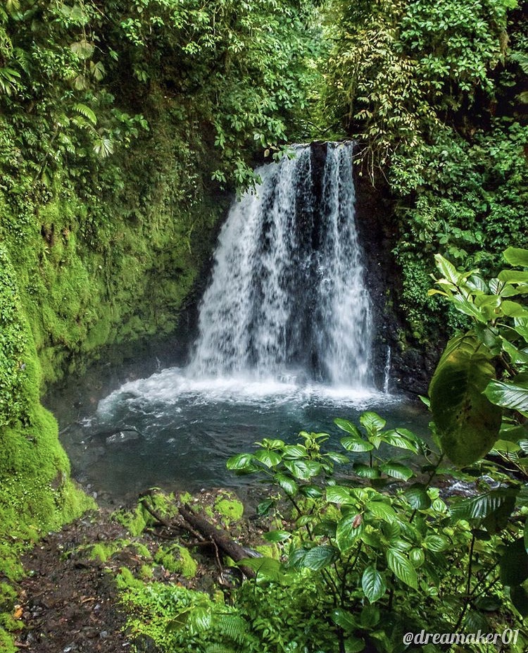 Blog La Selva Tropical en Arenal 4