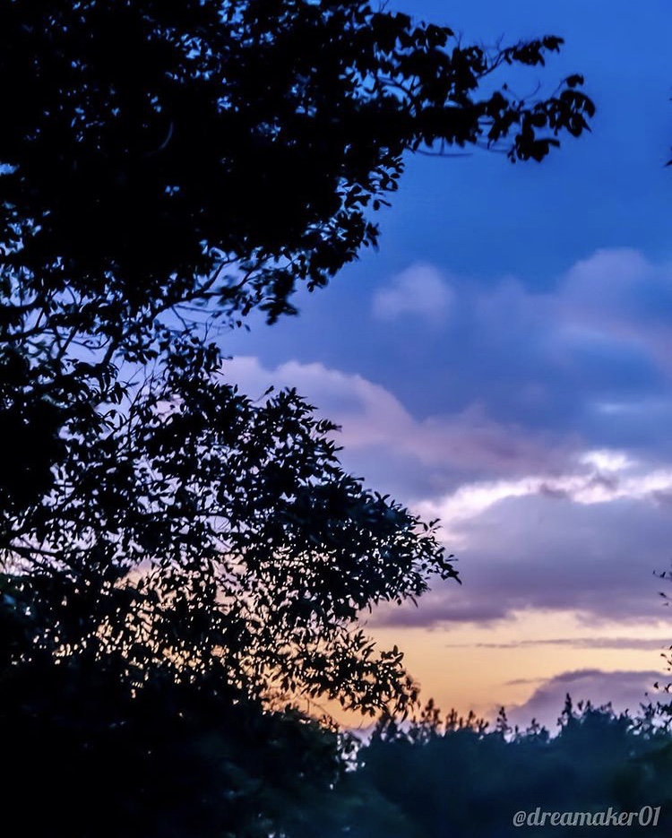 Blog La Selva Tropical en Arenal 8